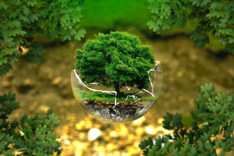 o que é empreendedorismo sustentável